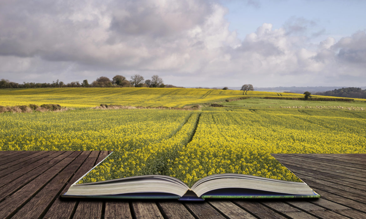 Storytelling originale