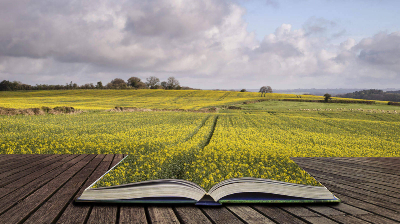 Storytelling originale